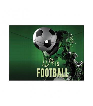 #T8591 plastova-obalka-a4-s-patentkou-motiv-football